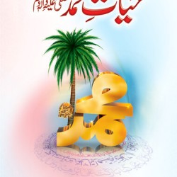 Hayat e Muhammad حیات محمد ﷺ ڈیلکس