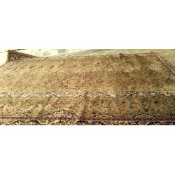 Riyaz ul Jannah ریاض الجنۃ   Carpet Shah Abdullah IV Time