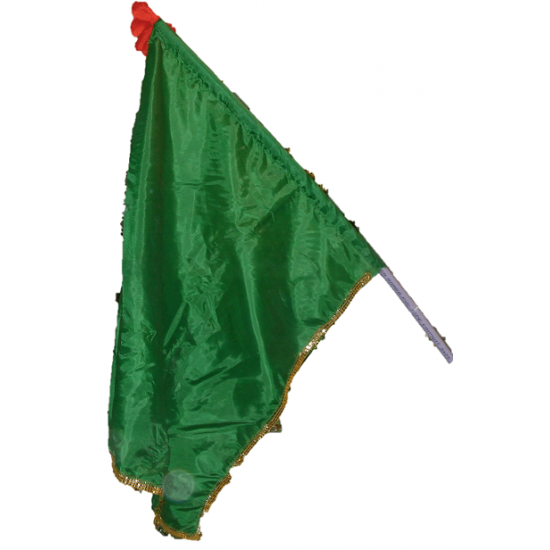 Green Flag Large
