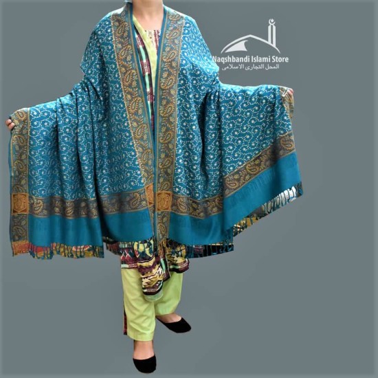 Women Shawl Turquoise Blue Acro Woolen All Borders Embroidery